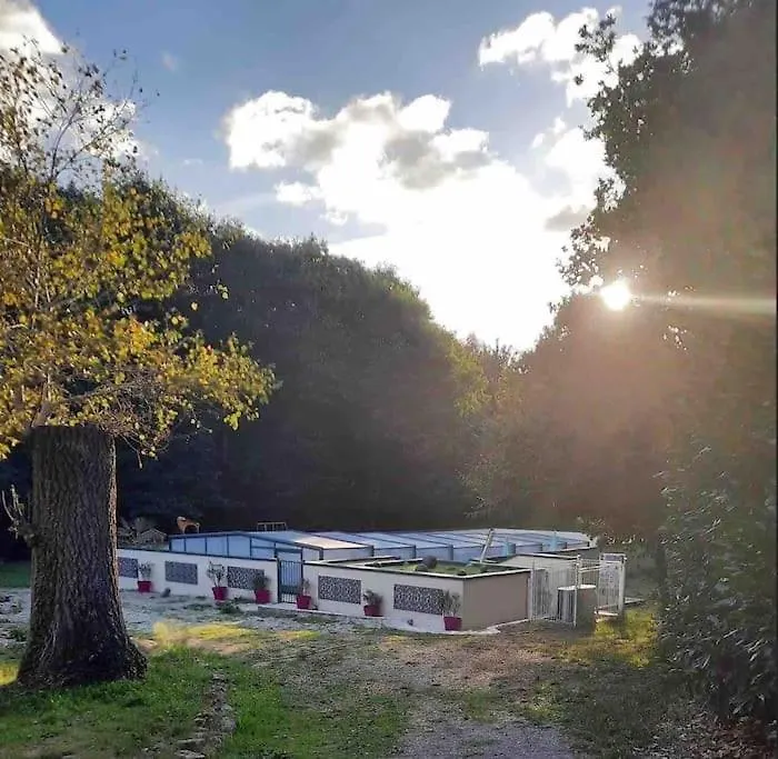 Gite Cornouaille Piscine Ou Jacuzzi Saint-Evarzec Holiday home